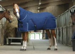 RIDING WORLD Stalldecke „Combo“