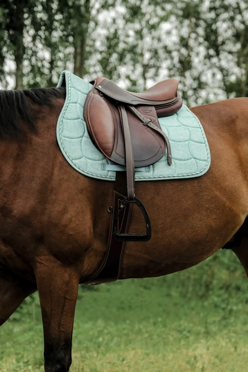 RIDING WORLD - Sunshine - Schabracken