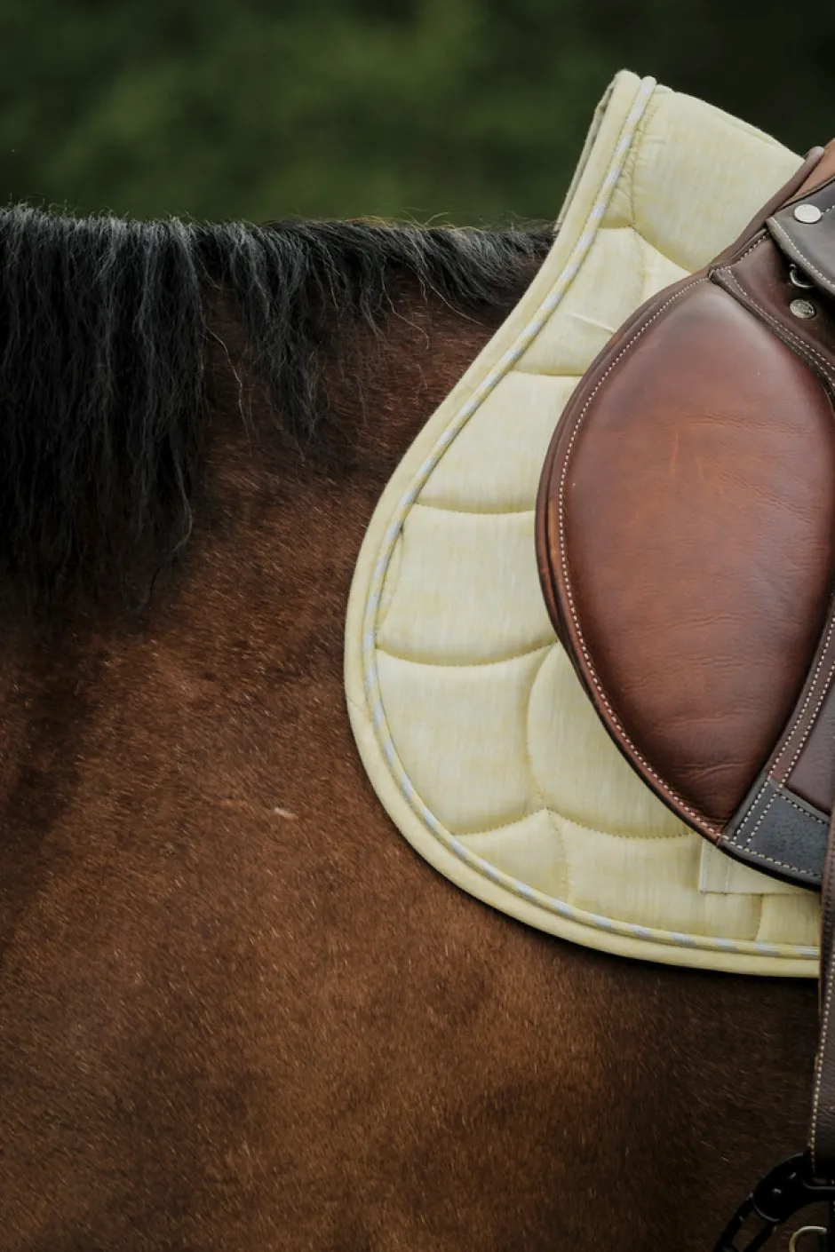 RIDING WORLD - Sunshine - Schabracken