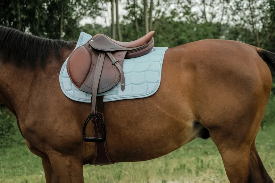 RIDING WORLD - Sunshine - Schabracken