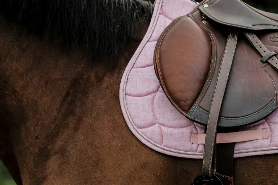 RIDING WORLD - Sunshine - Schabracken