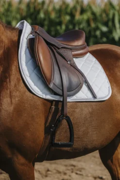 RIDING WORLD - Velours - Schabracken