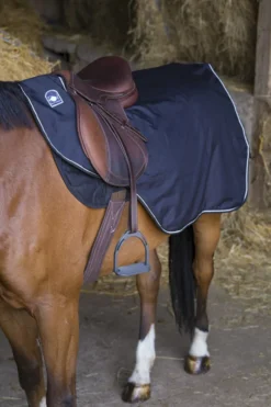 RIDING WORLD wasserdichte Nierendecke mit Fleece Futter