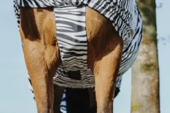 RIDING WORLD Zebra Anti-Ekzem-Decke