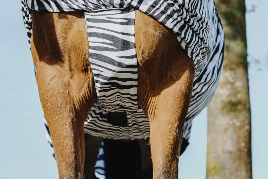 RIDING WORLD Zebra Anti-Ekzem-Decke