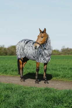 RIDING WORLD Zebra Anti-Ekzem-Decke