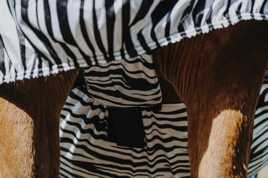 RIDING WORLD Zebra Anti-Ekzem-Decke