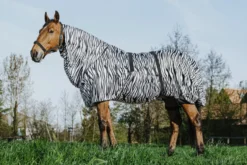 RIDING WORLD Zebra Anti-Ekzem-Decke