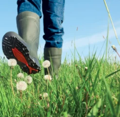 Sicherheitsstiefel Dunlop® Purofort®+ S5