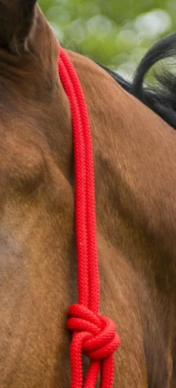 Strickhalfter „First“