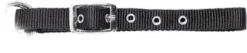 USG Fohlenhalfter
