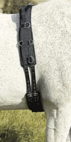 USG Longiergurt Neopren mit Handschlaufen
