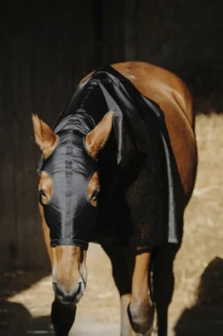 Vollschutz für den Hals EQUITHEME - Lycra/Mesh