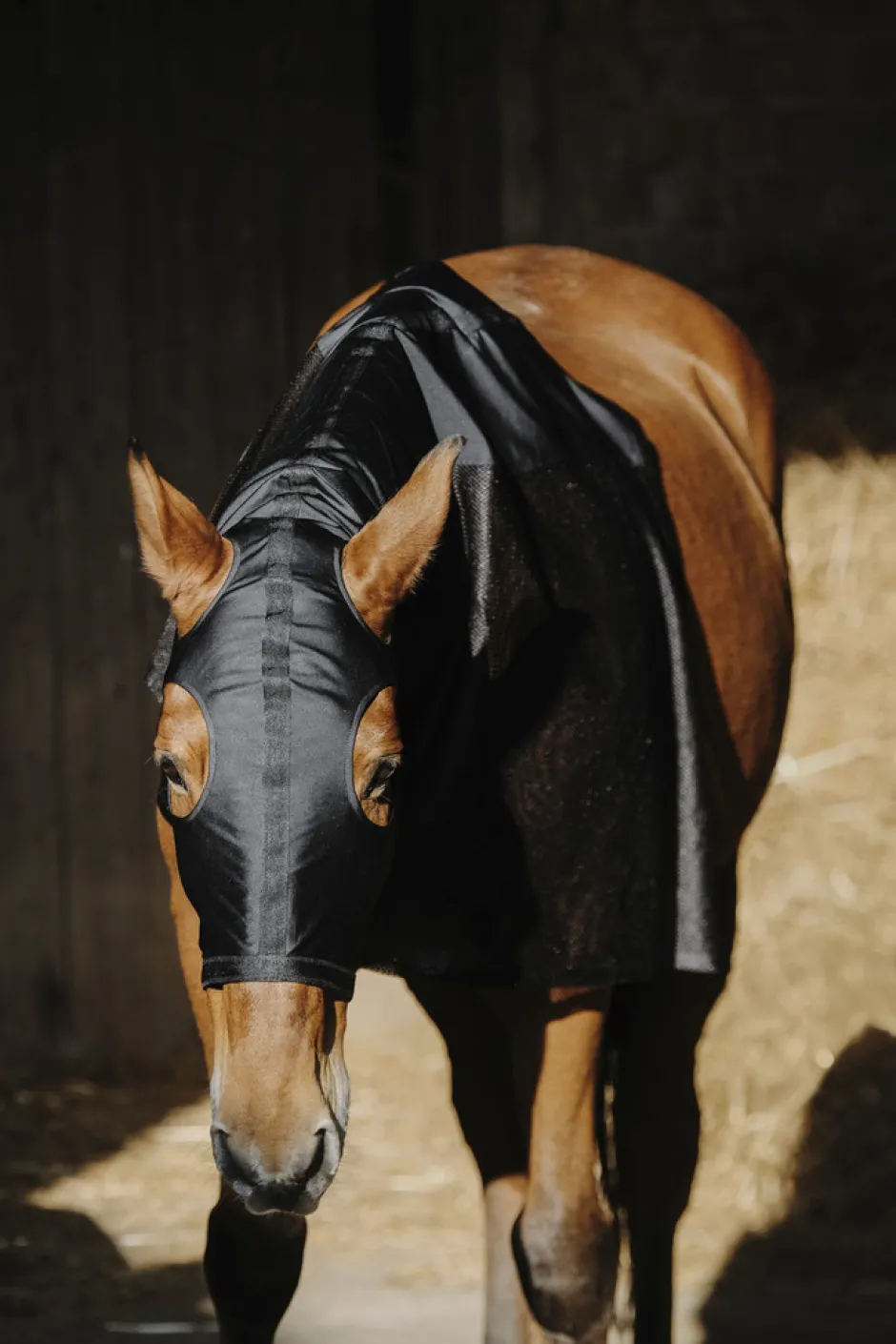 Vollschutz für den Hals EQUITHEME - Lycra/Mesh