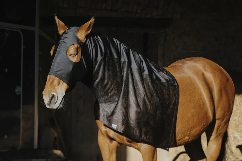 Vollschutz für den Hals EQUITHEME - Lycra/Mesh