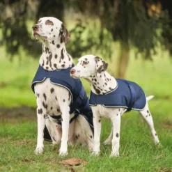 WALDHAUSEN Regen-Hundedecke
