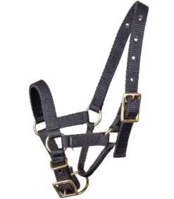 WALDHAUSEN Alpaka Halfter
