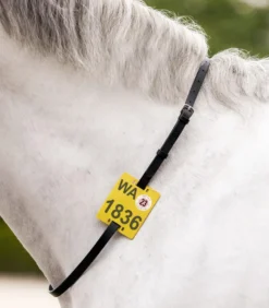 WALDHAUSEN Ausreitriemen für Reitplakette