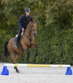 WALDHAUSEN Cavaletti-Block