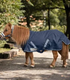 WALDHAUSEN Comfort Shetty-Regendecke, 100g