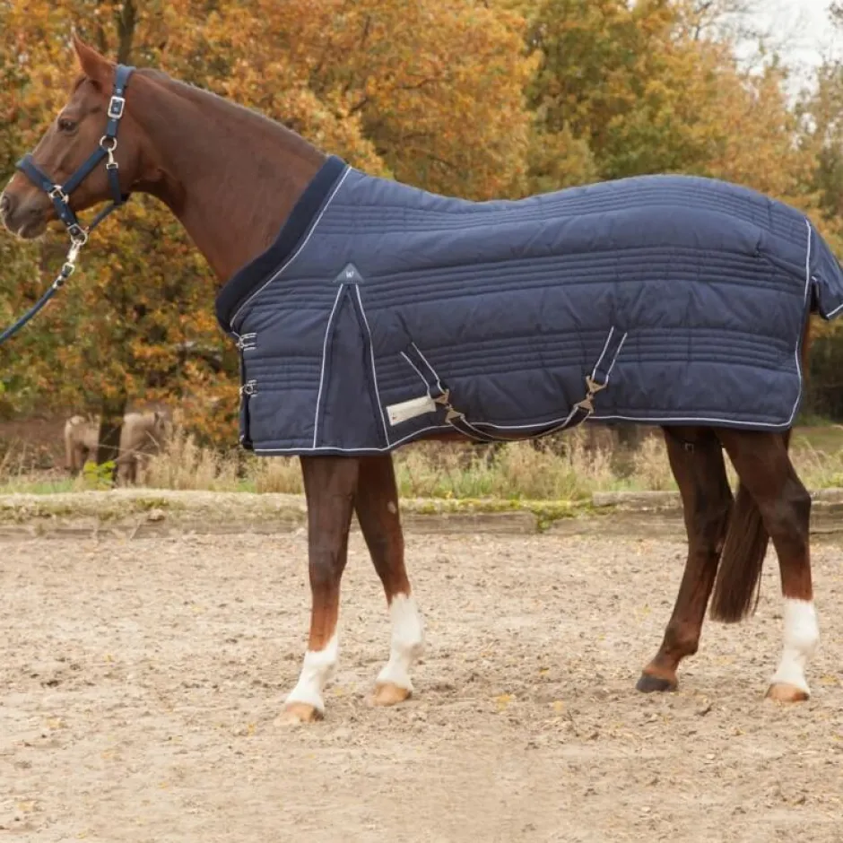 WALDHAUSEN COMFORT Stalldecke, 100 g