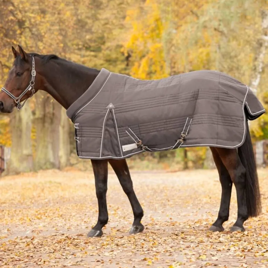 WALDHAUSEN COMFORT Stalldecke, 200 g