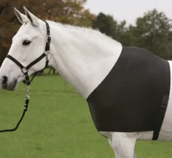 WALDHAUSEN Comfort Vest
