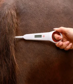 WALDHAUSEN Digital-Fieberthermometer für Pferde