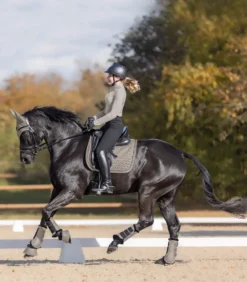 WALDHAUSEN Dressurgamasche Pegasus