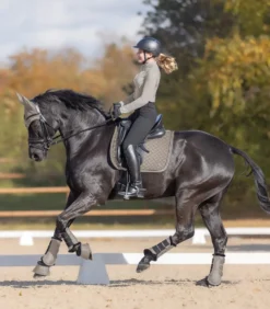 WALDHAUSEN Dressurgamasche Pegasus