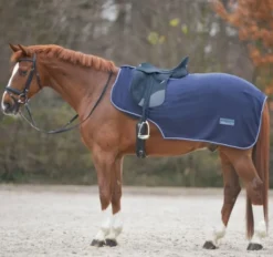 WALDHAUSEN ECONOMIC Fleece-Nierendecke