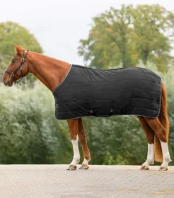 WALDHAUSEN ECONOMIC Stalldecke, 200 g