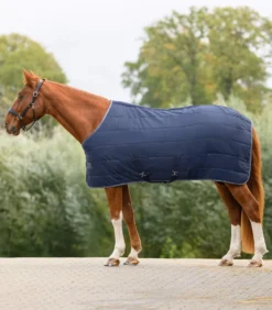 WALDHAUSEN ECONOMIC Stalldecke, 300 g