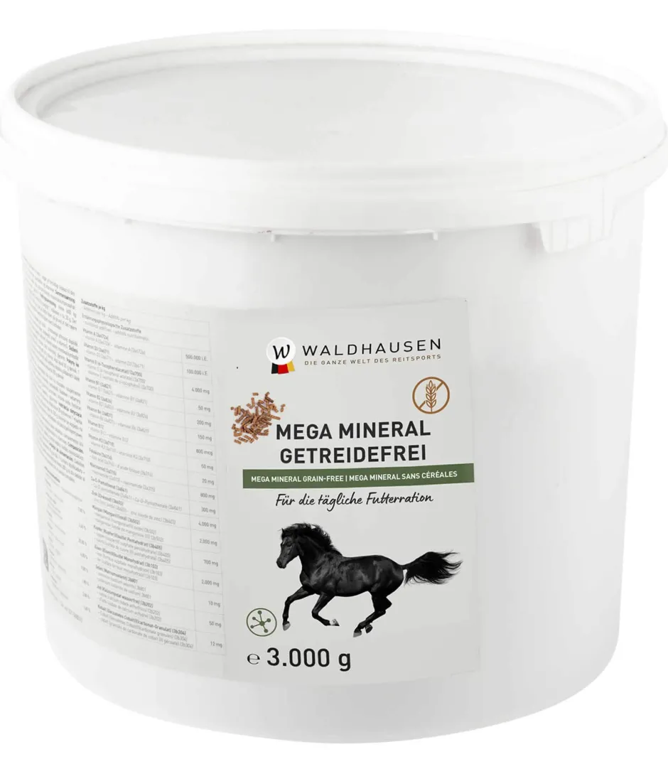 WALDHAUSEN Elektrolyt - Regeneration und Leistungserhalt, 1kg