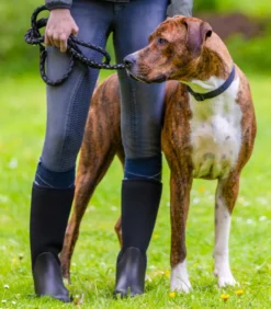 WALDHAUSEN ELT Allwetter-Stiefel Houston