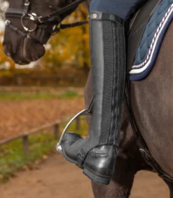 WALDHAUSEN ELT Mini Chaps Exclusive