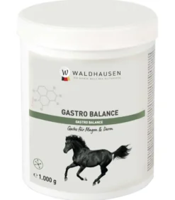 WALDHAUSEN Gastro Balance, 1 kg