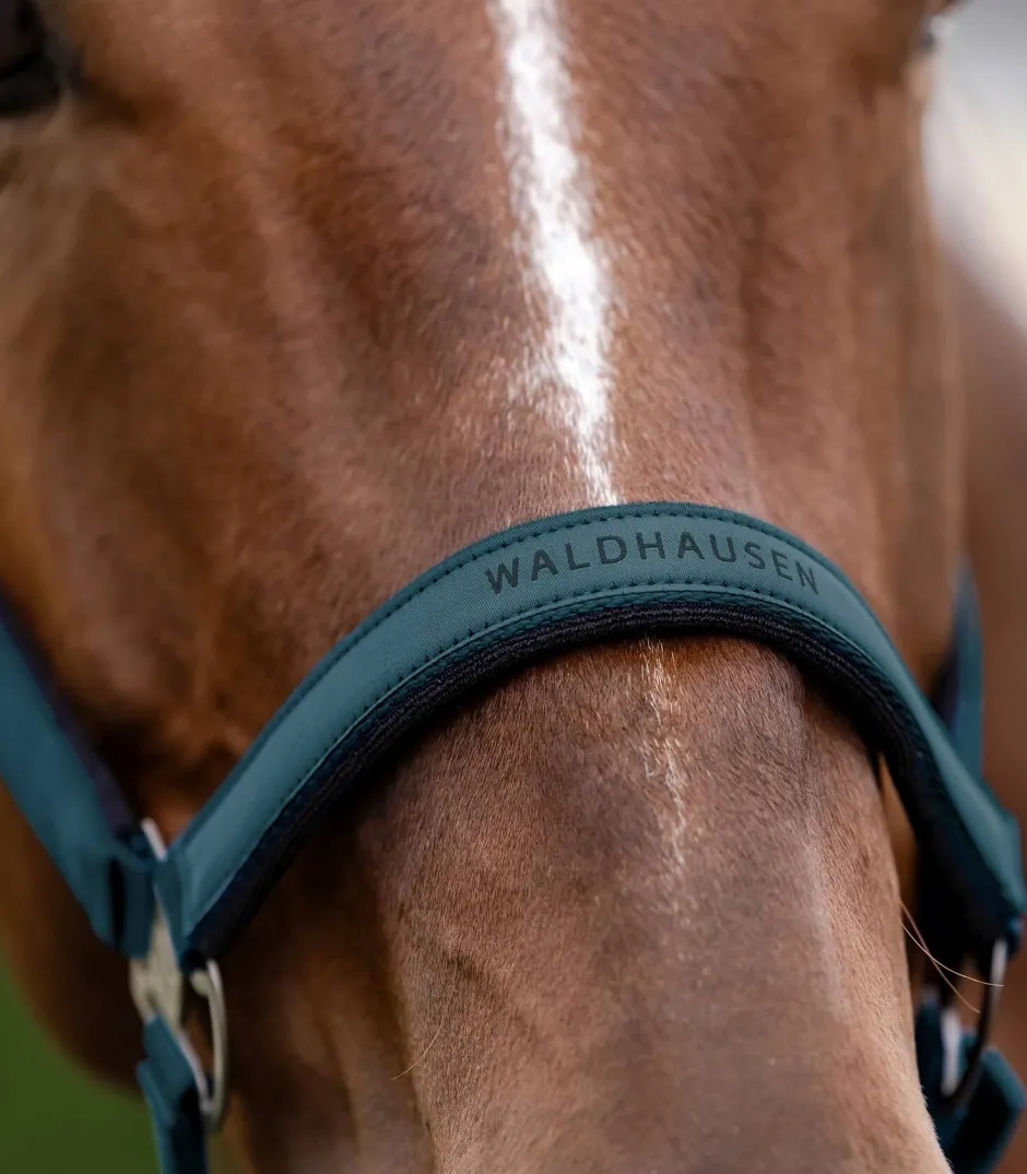WALDHAUSEN Halfter Athletic