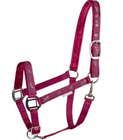 WALDHAUSEN Halfter Pferdchen