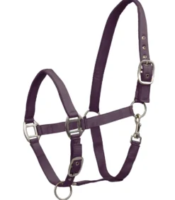 WALDHAUSEN Halfter Satin