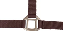 WALDHAUSEN Halfter Satin
