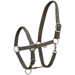WALDHAUSEN Halfter Satin