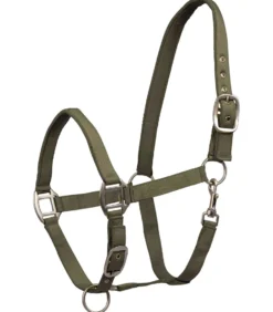 WALDHAUSEN Halfter Satin