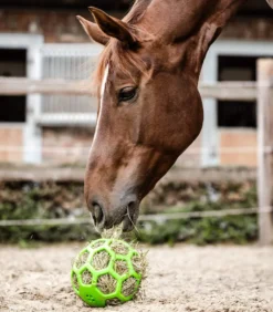 WALDHAUSEN Heuball