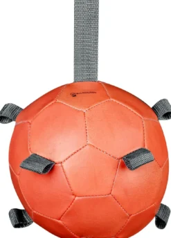 WALDHAUSEN Karottenball