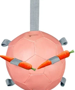 WALDHAUSEN Karottenball