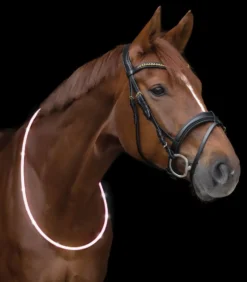 WALDHAUSEN LED-Halsriemen
