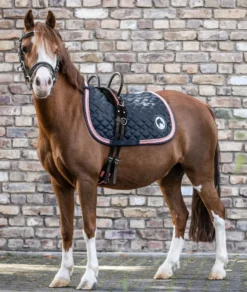 WALDHAUSEN Longiergurt mit zwei Handgriffen