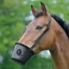 WALDHAUSEN Maulkorb, Warmblut, schwarz