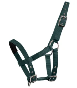 WALDHAUSEN Mini-Shetty Halfter